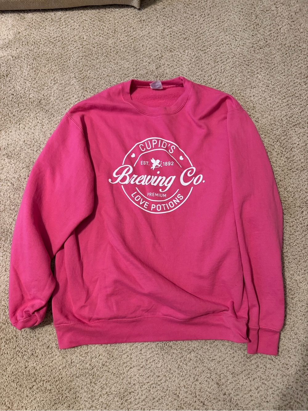 Pink Crewneck Sweatshirt